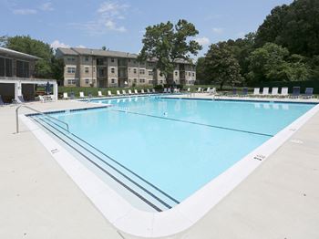 Olympic size swimming pool